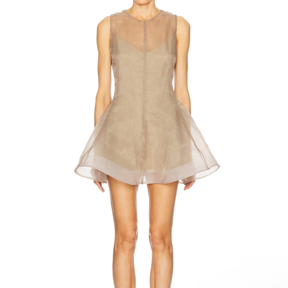 L'Academie Sheer Taupe Mini Dress